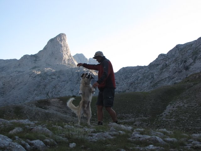 2009-07-22 18-40 alpy albanskie - arek ujarzmia psa pasterskiego.jpg